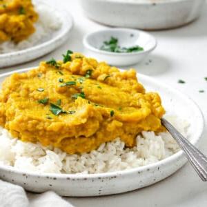 Einfaches gelbes Dal-Rezept 15 Fertiges einfaches gelbes Dal auf Reis in einem weißen Teller vor hellem Hintergrund