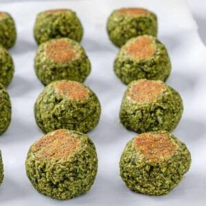 Einfache Pilz-Rotlinsen-Frikadellen 17 Fertige rote Linsen-Frikadellen gleichmäßig auf einer weißen Oberfläche angeordnet