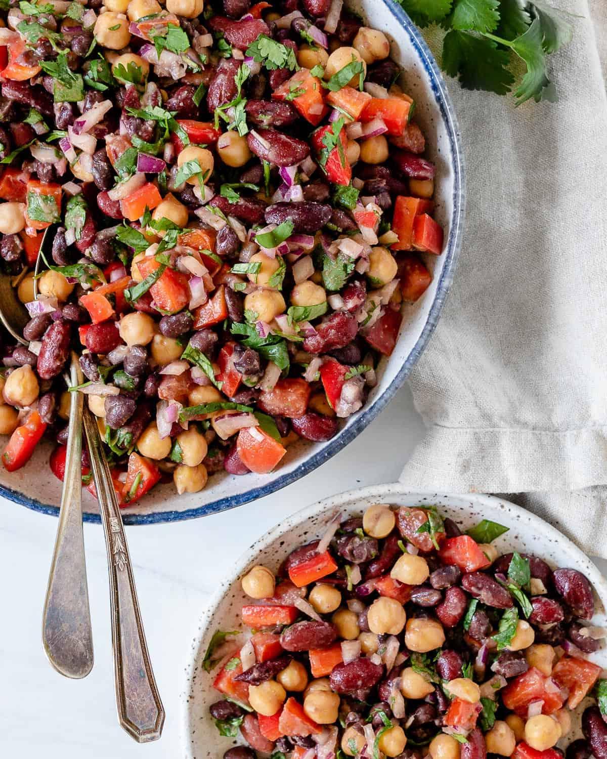 Gemischter Bohnensalat 9 completed mixed bean salad in serving bowl and individual bowl against a white background