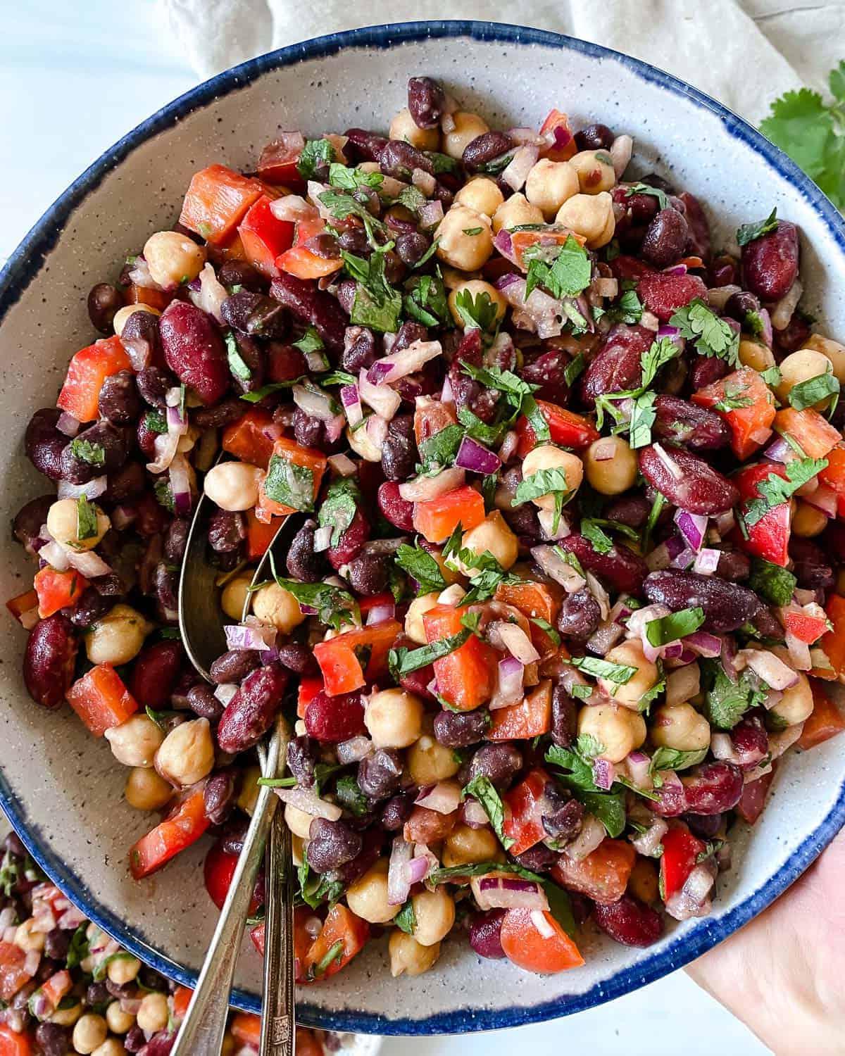 Gemischter Bohnensalat 10 completed mixed bean salad in serving bowl with ingredients against a white background