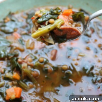 Spoon of Italian Lentil Sausage Soup
