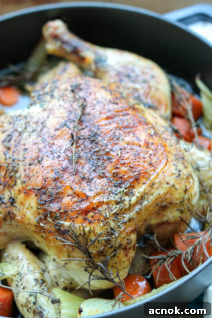 Golden brown herb roast chicken in a roasting pan, ready to be served, surrounded by roasted vegetables.