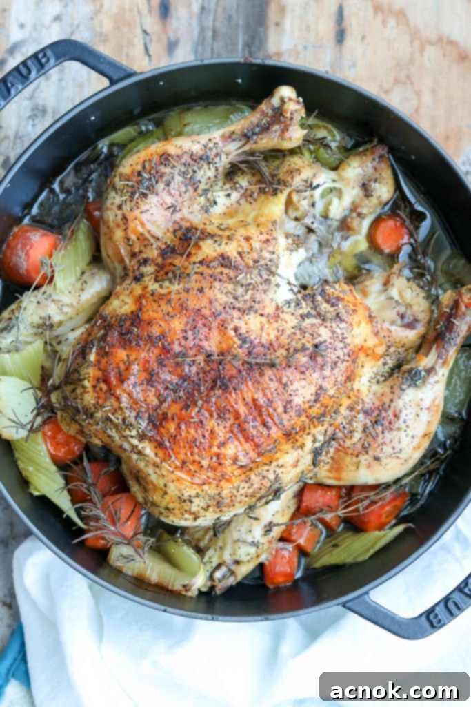 Close-up of golden brown roasted chicken with herbs and vegetables in a pan, steaming hot.