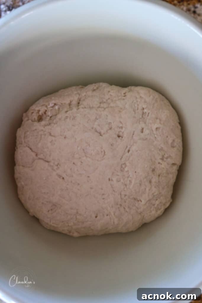 pizza dough in an oiled bowl, covered with plastic wrap, rising