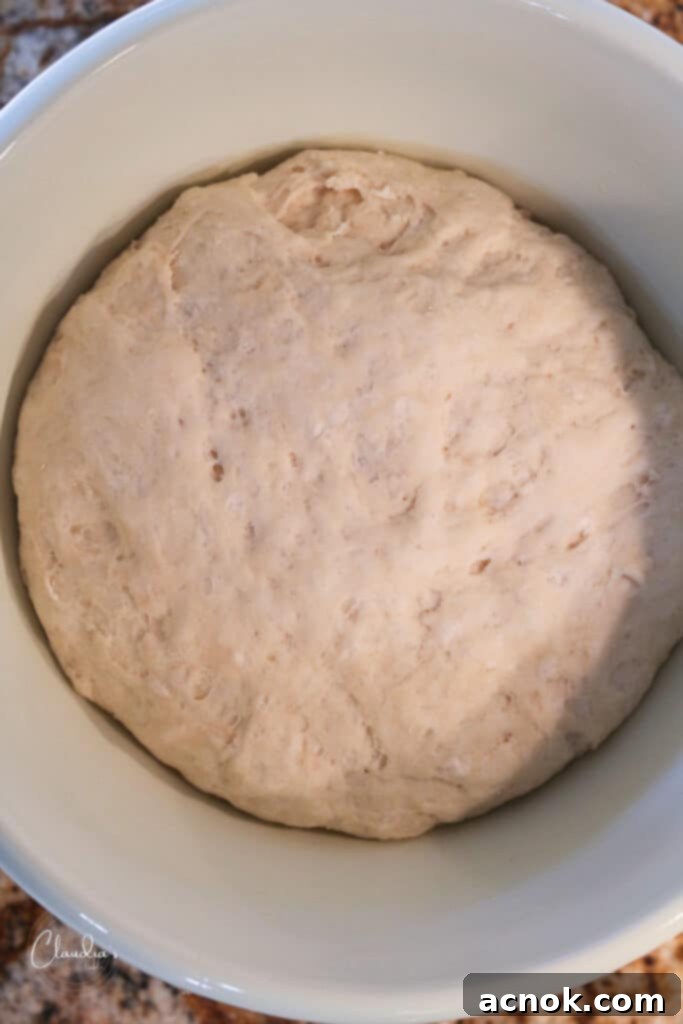 risen pizza dough divided into four balls, ready for baking