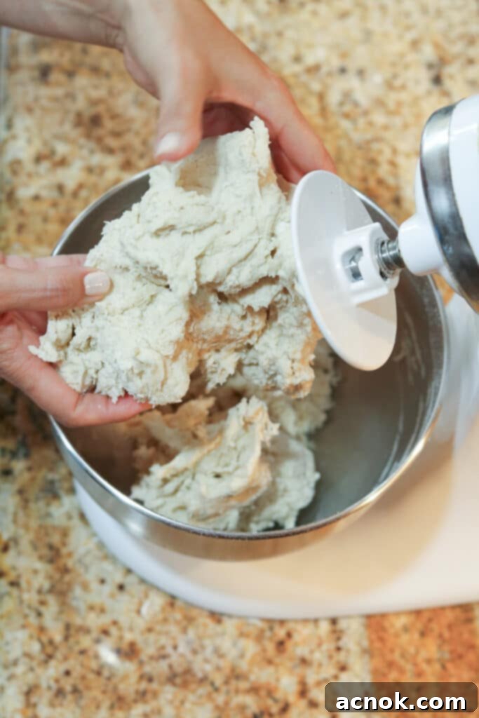 pizza dough fully mixed and cohesive in the stand mixer bowl