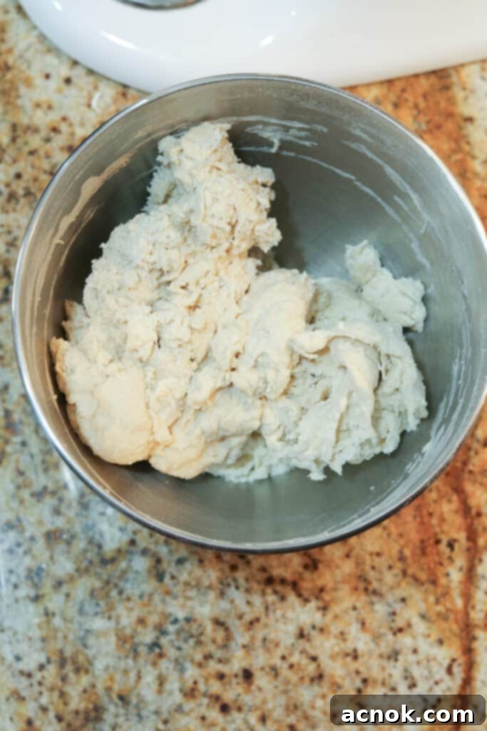 pizza dough appearing shaggy but fully mixed in stand mixer