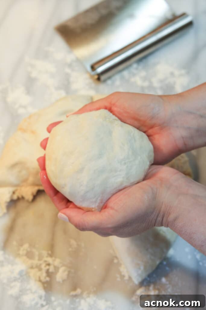 single ball of pizza dough, rounded and ready