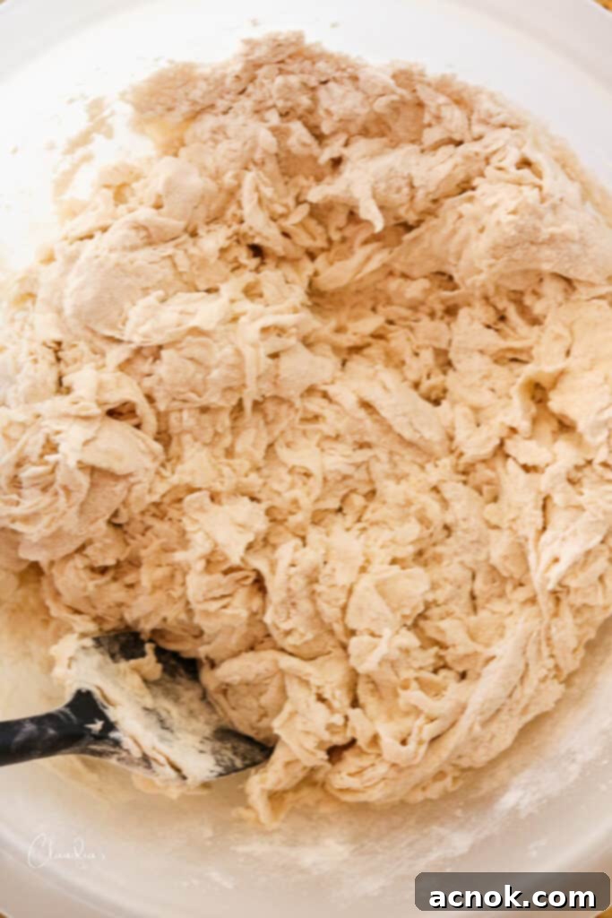 pizza dough mixture with shaggy texture after initial mixing