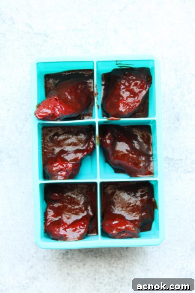 chipotle chiles in ice cube tray