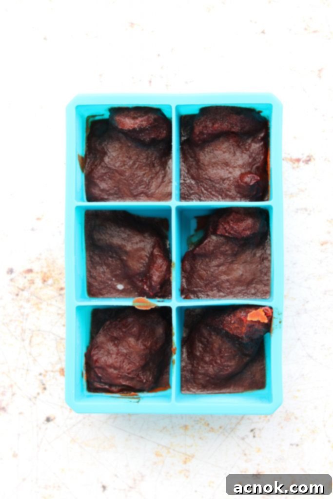 frozen chipotle chiles in ice tray