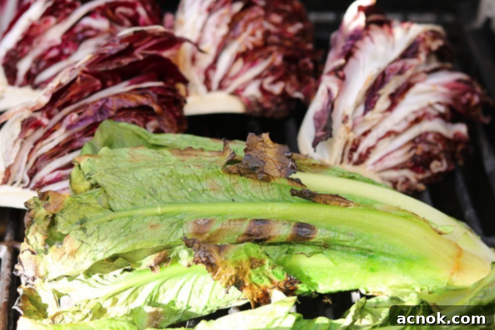 Smoky Grilled Romaine Radicchio Caesar 5 Grilled lettuce and radicchio showing developing grill marks, in the process of being turned on a barbecue for even cooking