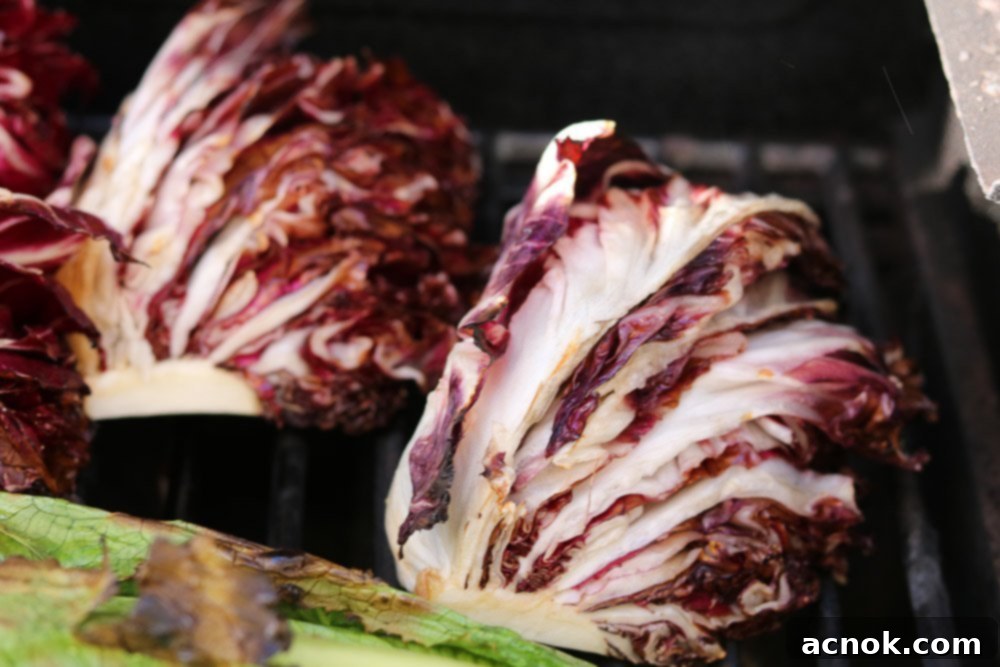 Smoky Grilled Romaine Radicchio Caesar 6 Close-up view of grilled radicchio on the barbecue, showing slight wilting on the edges and perfectly visible charring