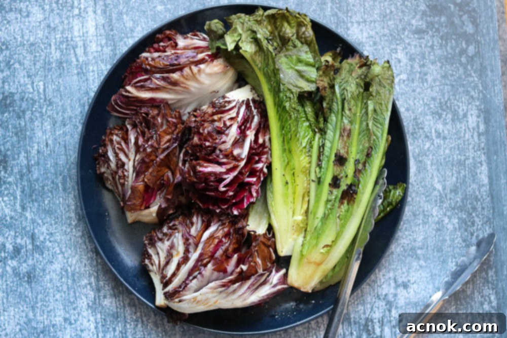Smoky Grilled Romaine Radicchio Caesar 7 Plated grilled romaine and radicchio halves after resting, perfectly charred and ready for chopping and dressing