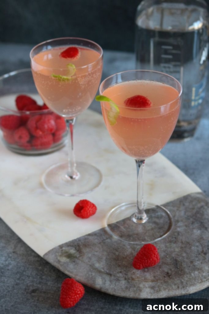 Raspberry Tequila Fizz 2 Close-up of a Sparkling Raspberry Tequila Cocktail garnished with fresh raspberries and a lime twist, ready to be enjoyed.