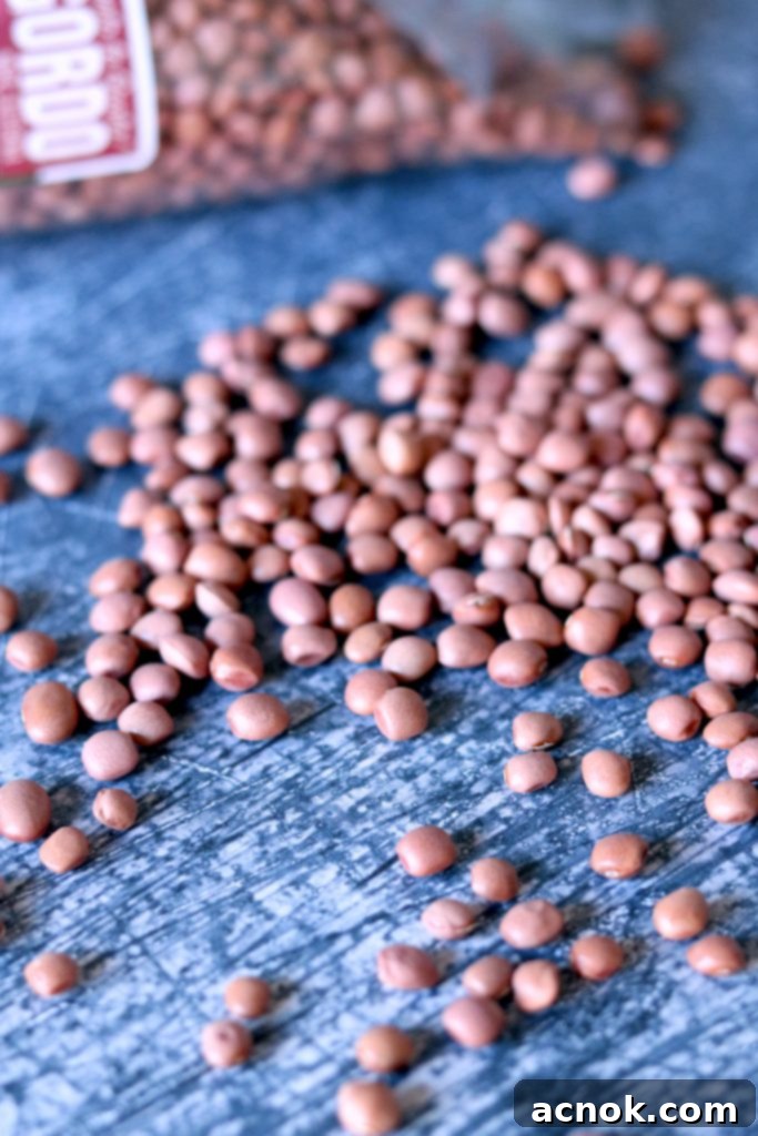 Raw Rancho Gordo Pinquito beans