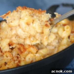 side view of chipotle in adobo macaroni and cheese