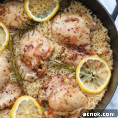 One pan lemon rosemary chicken and rice in a skillet, garnished with fresh herbs and lemon slices.