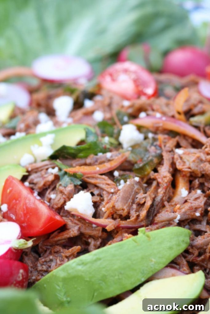 Close-up shot of Mexican Salpicón de Res, showing the shredded beef, avocado, radish, and cilantro.