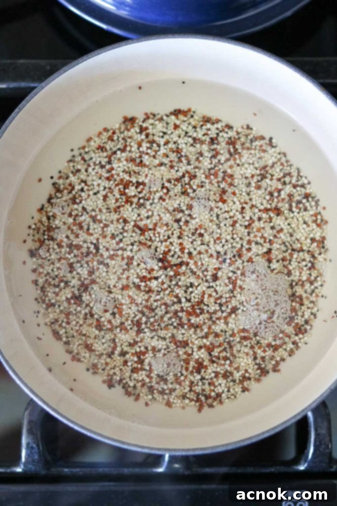 Rinsed quinoa placed in a pot with 2 cups of water, ready to be brought to a boil