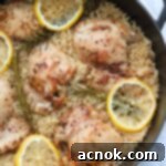 one pan lemon rosemary chicken and rice in pan