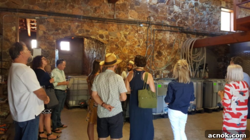 Valle de Guadalupe- Cavas del Mogor - the winemaking process with barrels