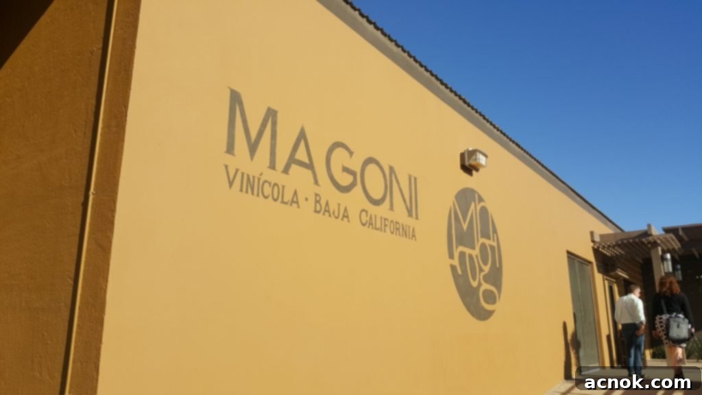 Valle de Guadalupe-Magoni vinicola/winery - tasting under the oak tree