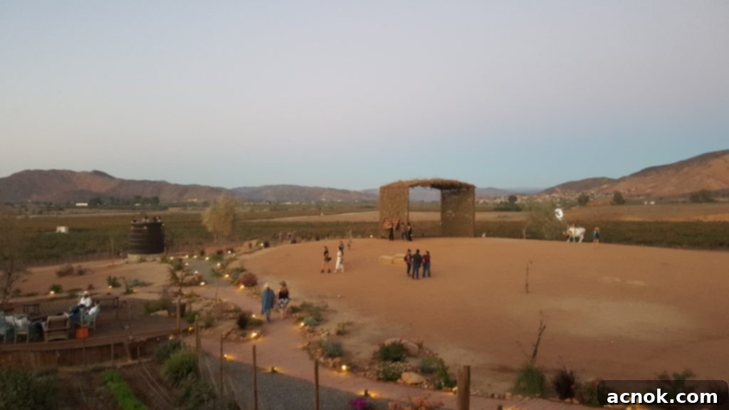 Finca Altozano - Outdoor seating and rustic ambiance