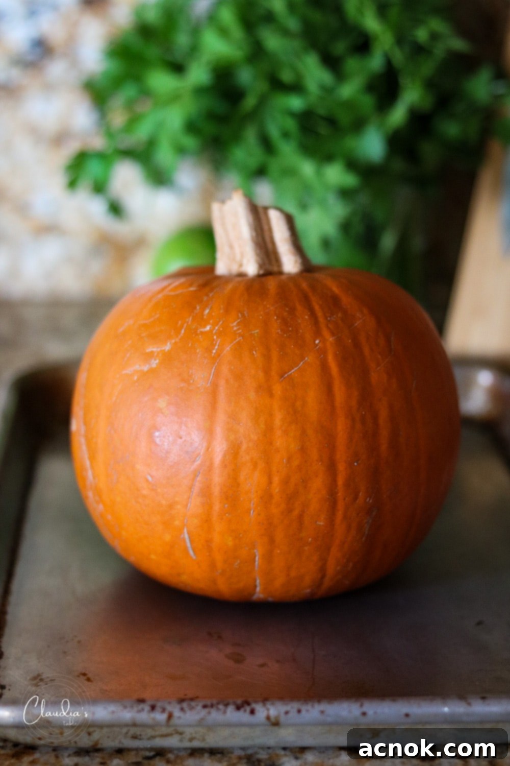 Whole sugar pie pumpkin on a cutting board, ready to be prepared for roasting, for pumpkin risotto recipe.