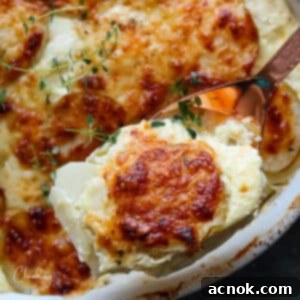 square close up potato apple gratin