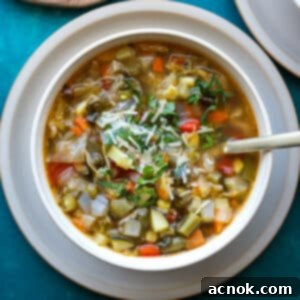 10 vegetable soup in bowl