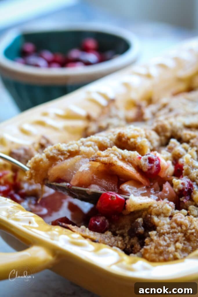 Close-up of baked apple cranberry crumble with golden topping