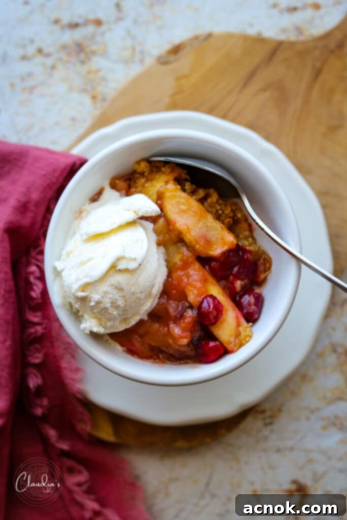 Warm apple cranberry crumble served in a bowl with melting vanilla ice cream