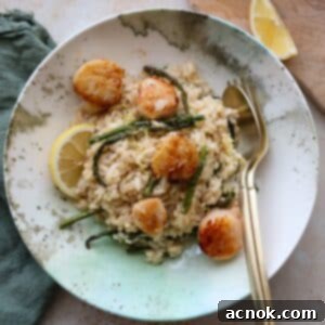 creamy risotto with pan seared scallops close up