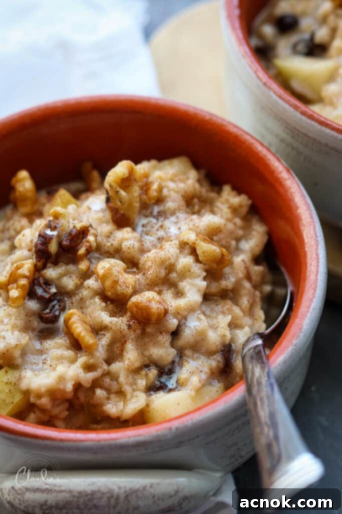 baked oatmeal with apples and cinnamon close up