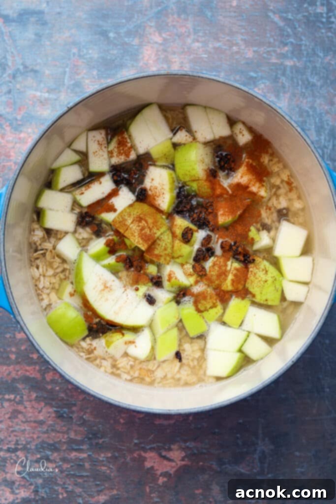 oatmeal with apples, cinnamon, raisins, water