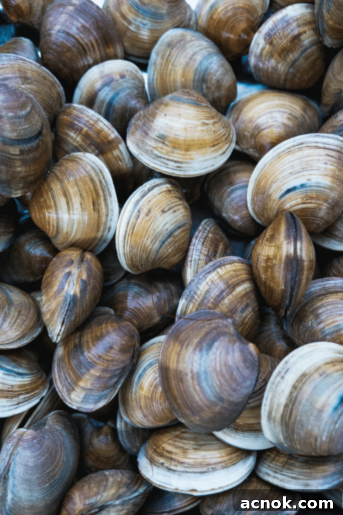 Close-up photo of fresh Littleneck clams, displaying their distinctive ridged shells.