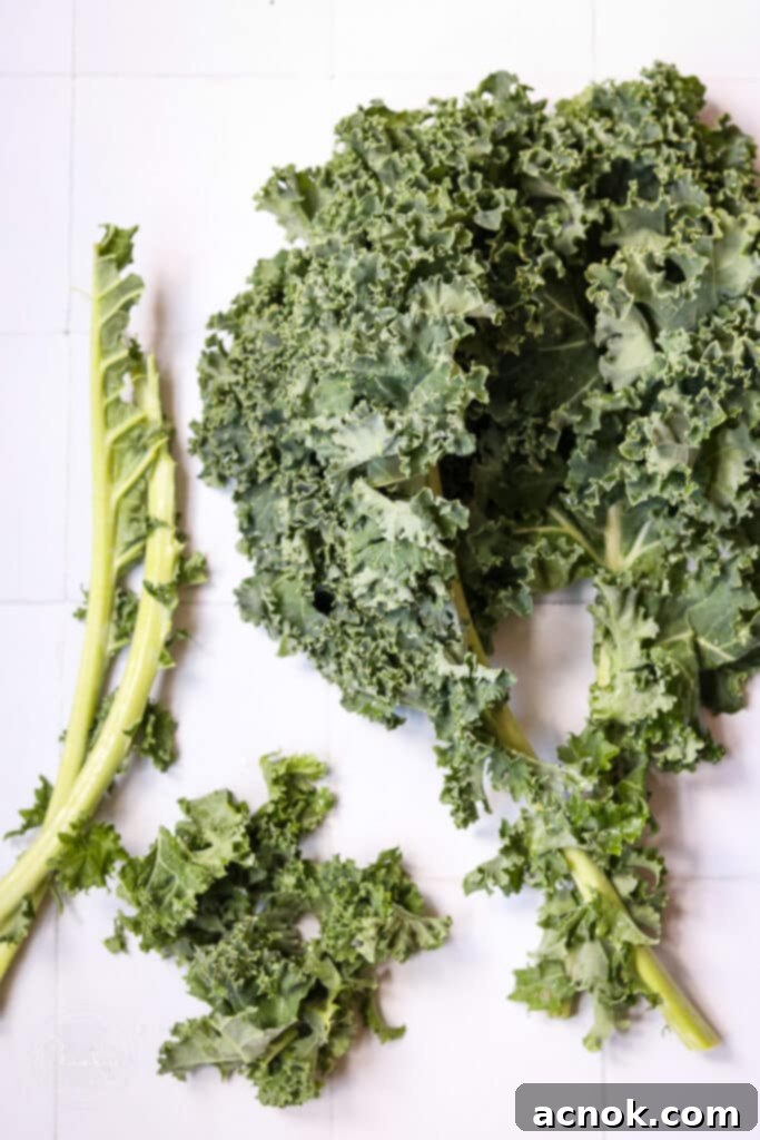 Fresh curly kale on a white background, highlighting its superfood qualities.