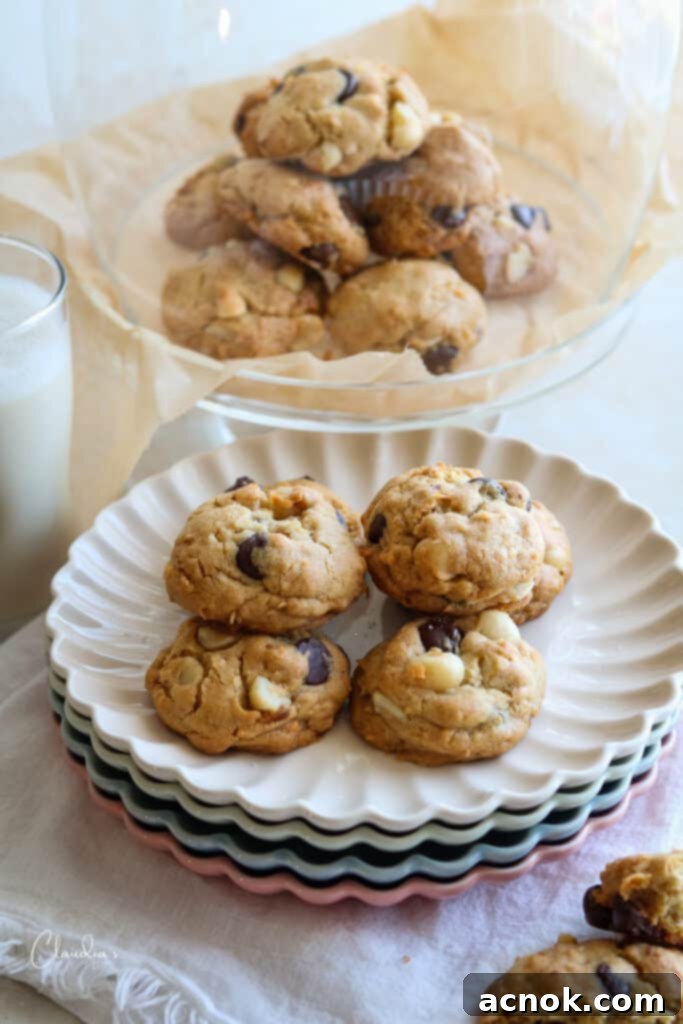 top view chocolate coconut macadamia nut cookies 