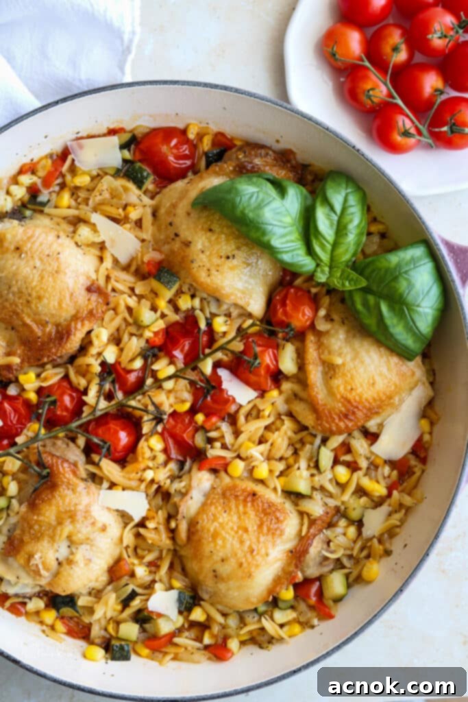 chicken with summer vegetable orzo in le creuset garnished with fresh basil 