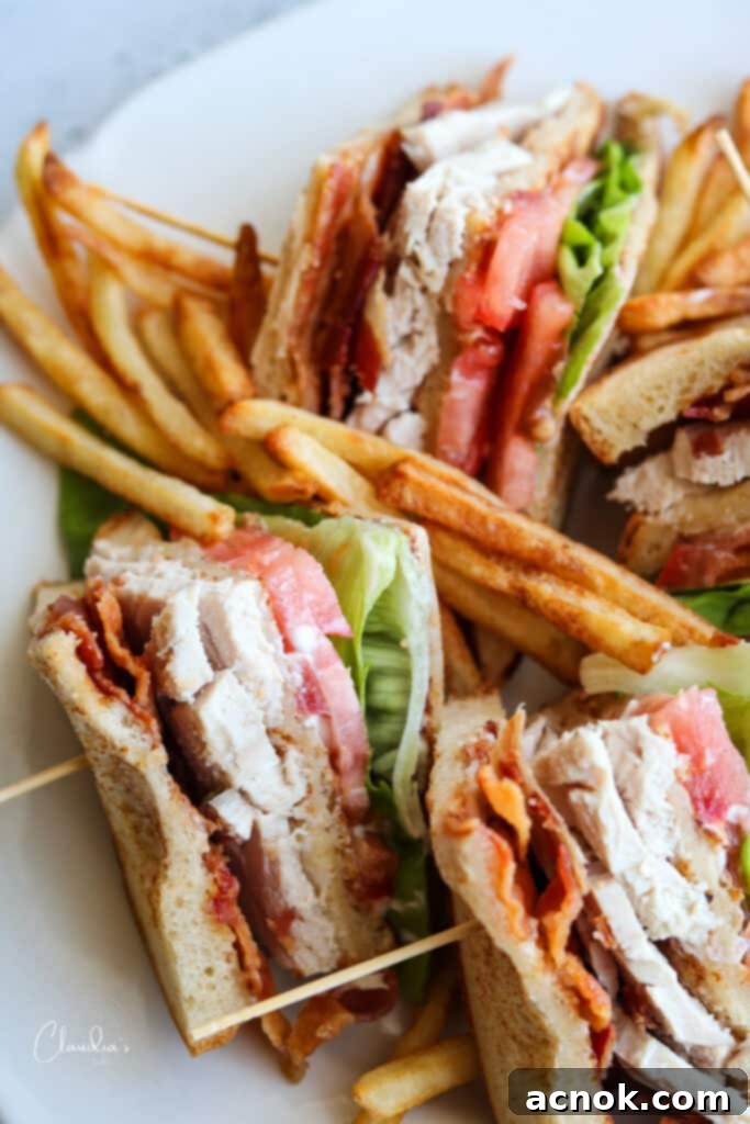 turkey club with french fries