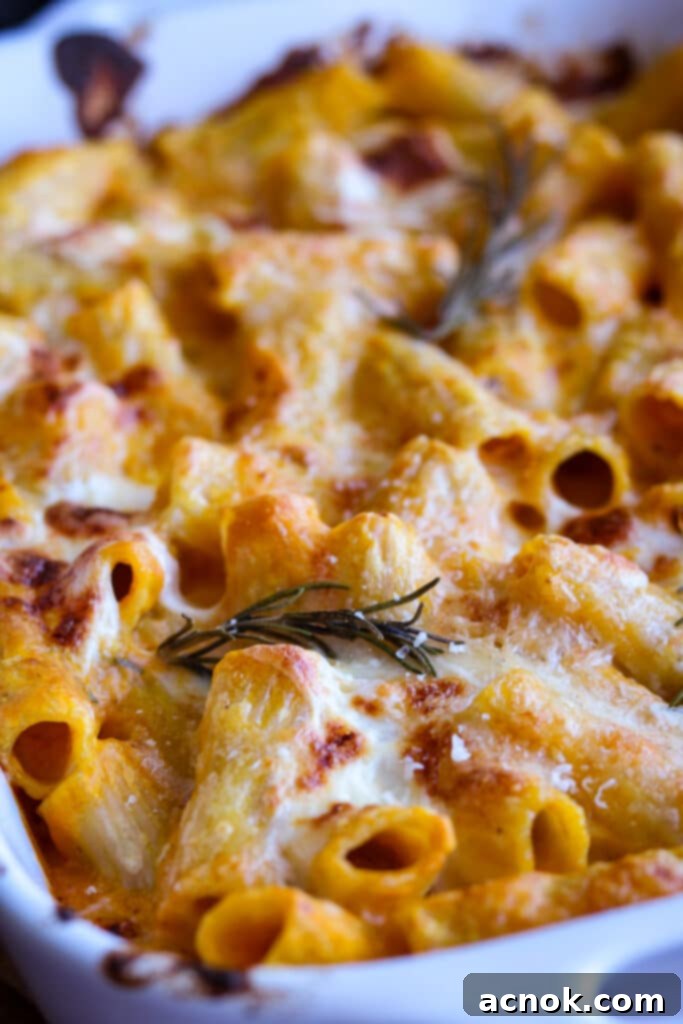 close up of baked rigatoni with pumpkin cream sauce