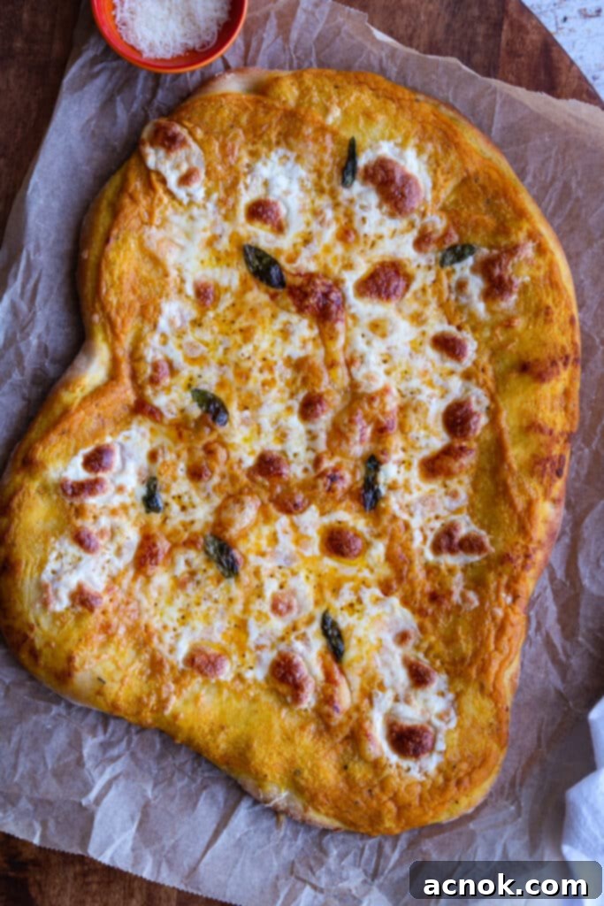 Pumpkin pizza fresh out of the oven, without prosciutto or honey