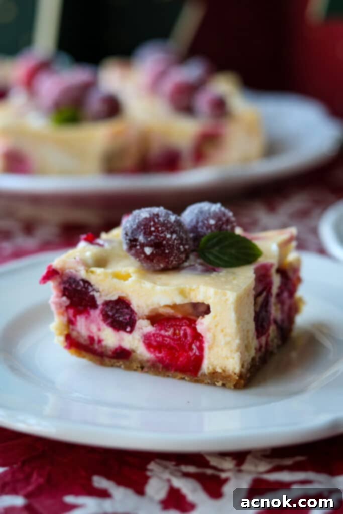 Close-up of freshly baked Cranberry Orange Cheesecake Bars on a white plate, garnished with sparkling sugared cranberries, perfect for a holiday meal.