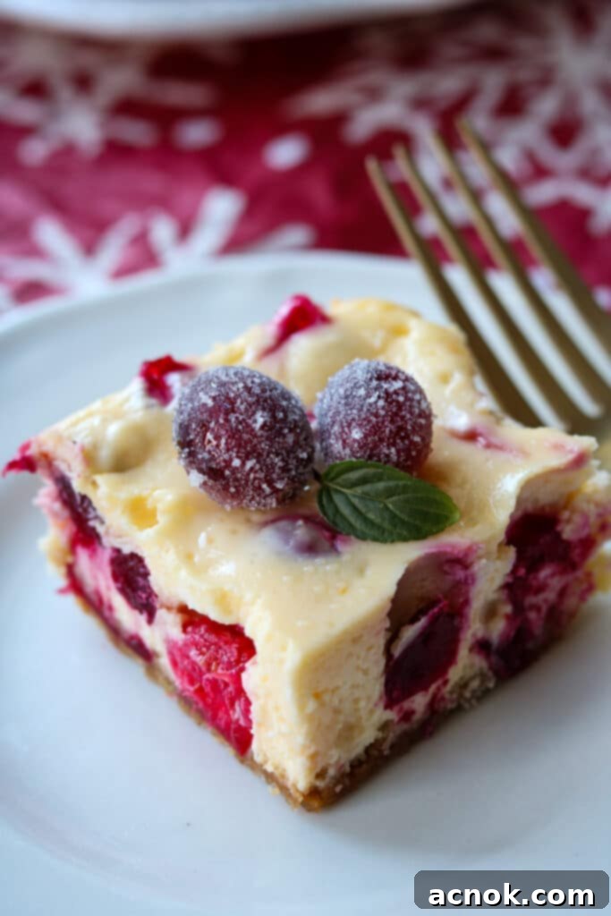 A close-up shot of a slice of Cranberry Orange Cheesecake Bar, revealing the creamy texture, graham cracker crust, and festive cranberry pieces.