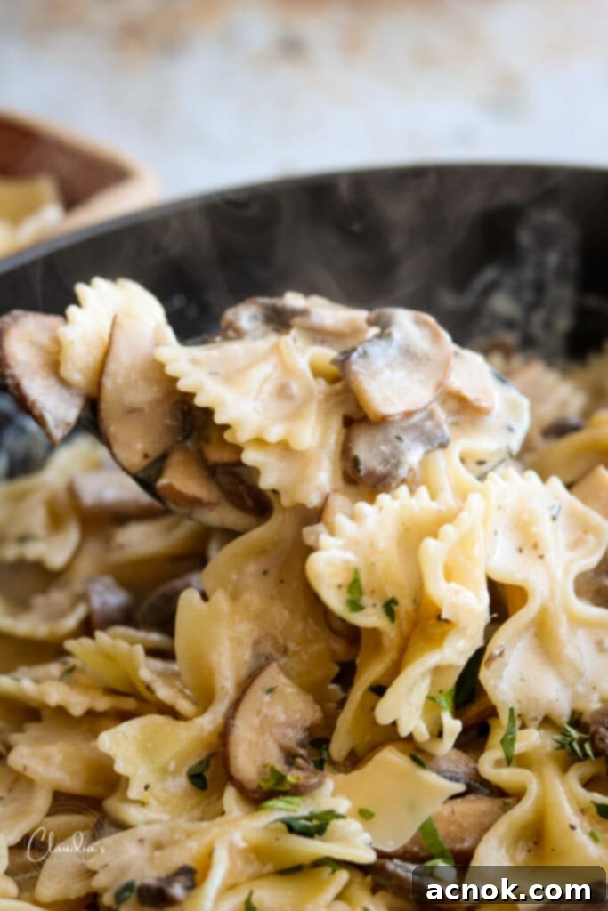 delicious mushroom pasta closeup