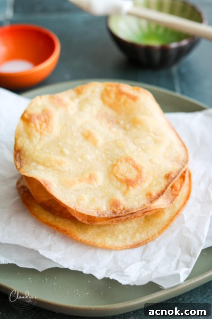 Homemade tostada shells with a sprinkle of salt on a white plate